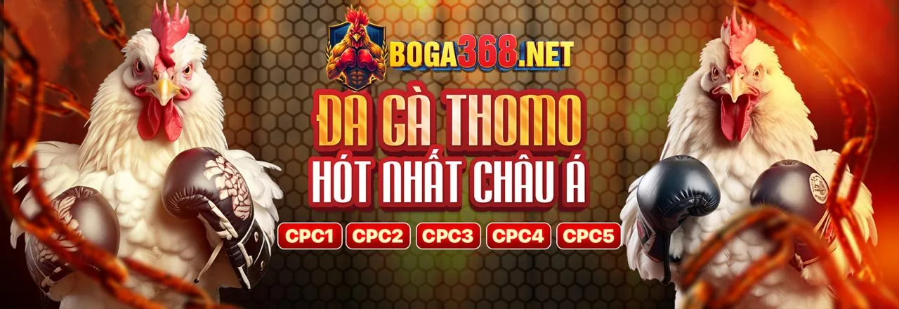 Đá Gà Trực Tuyến Hấp Dẫn tại B52 Win